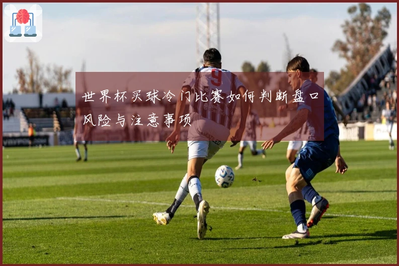 世界杯买球冷门比赛如何判断盘口风险与注意事项