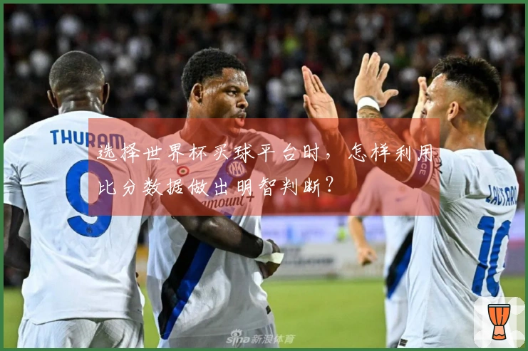 选择世界杯买球平台时，怎样利用比分数据做出明智判断？