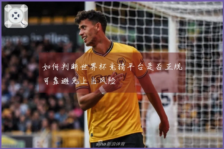 如何判断世界杯竞猜平台是否正规可靠避免上当风险